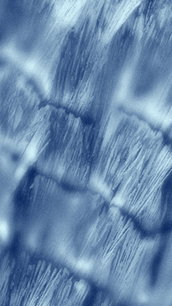 B-Vitamine